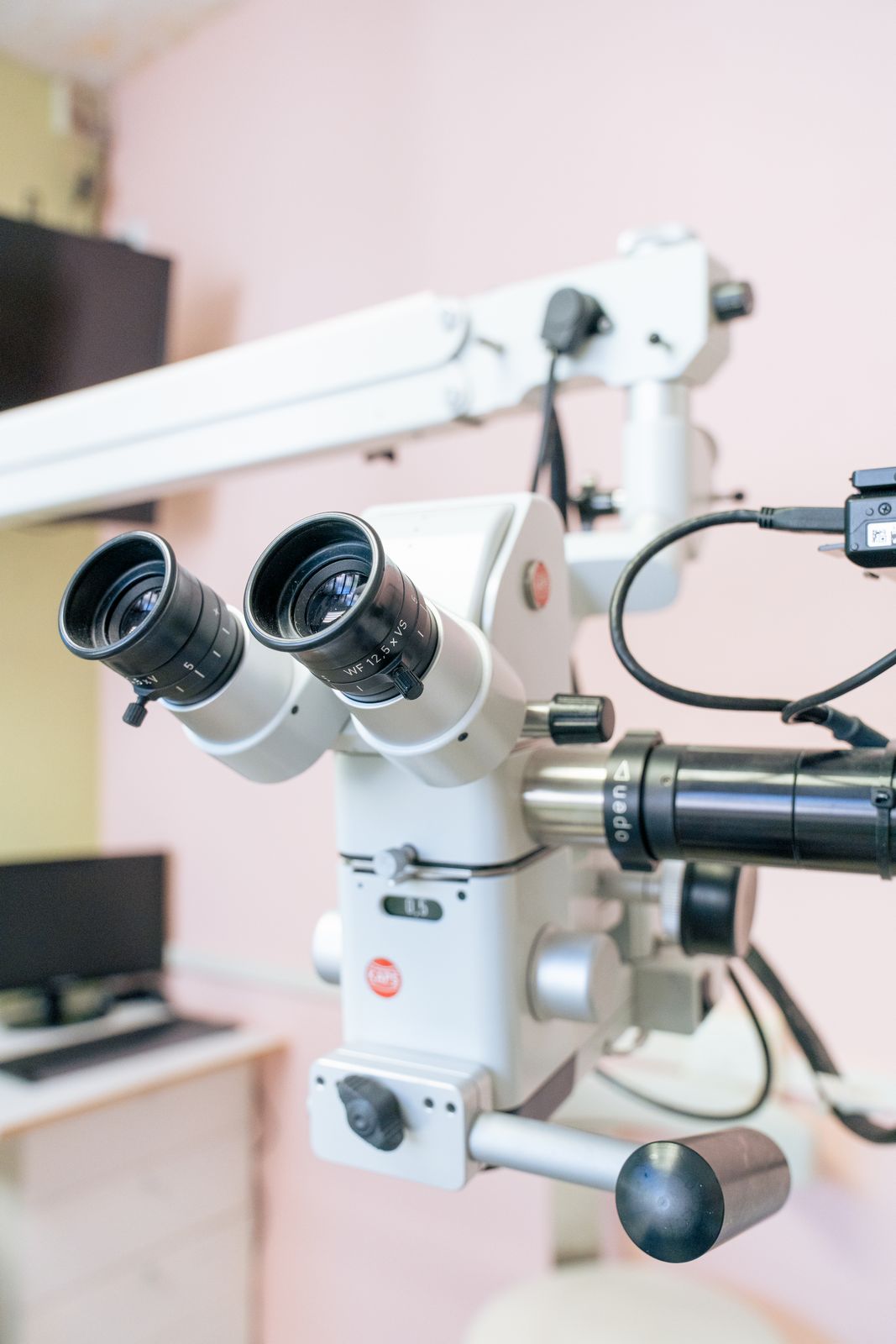 cadore-setti-dentisti-san-felice-